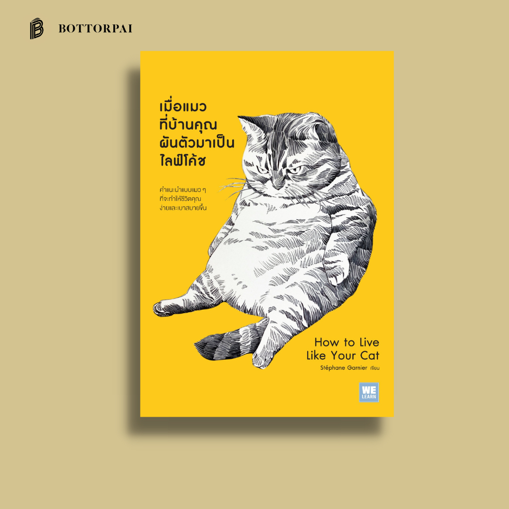 เมื่อแมวที่บ้านคุณผันตัวมาเป็นไลฟ์โค้ช-how-to-live-like-your-cat
