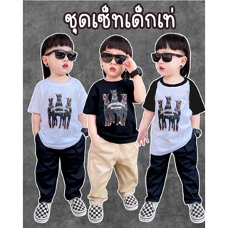 เสื้อยืดพิมลาย กางเกงขายาวตามรูป