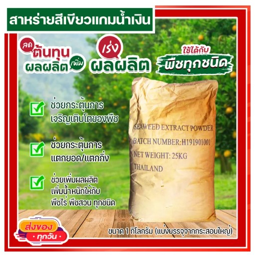 ปุ๋ย-สาหร่ายสีเขียวแกมน้ำเงิน-seaweed-extract-ผง-กระตุ้นการออกดอกและแตกยอด-บรรจุ-1-kg