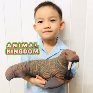 Animal Kingdom - โมเดลสัตว์ วอลรัส แมวน้ำ ขนาด 33.00 CM แบบนิ่ม (จากสงขลา)