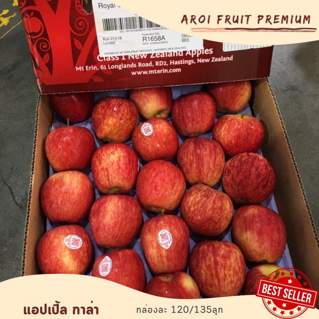 แอปเปิ้ลกาล่า-พรีเมี่ยม-120-135ลูก-ผลไม้ราคาถูกนำเข้าจากต่างประเทศ