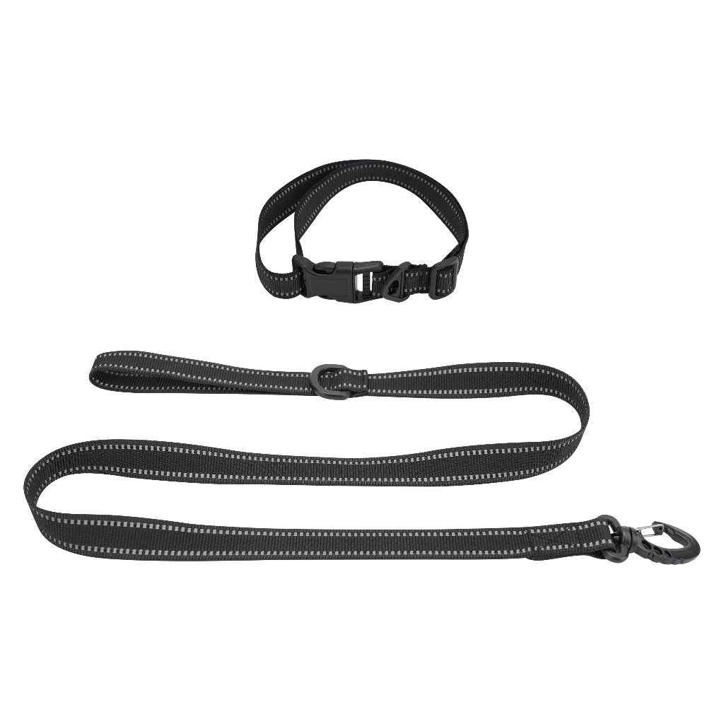 ปลอกคอและสายจูงสุนัข / Dog collar and leash KaOnDi Shopee Thailand