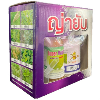 ญ่ายับ:บิสไพริแบก - โซเดียม 20% WP +ไตรโคลเพอร์ บิวทอกซี่เอทิล เอสเทอร์ 66.8% W/V EC กำจัดหญ้าในนาข้าว 1 ชุดใช้ได้ 4 ไร่