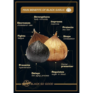 กระเทียมบ่มดำ กระเทียมบ่มดำ Aged Black Garlic