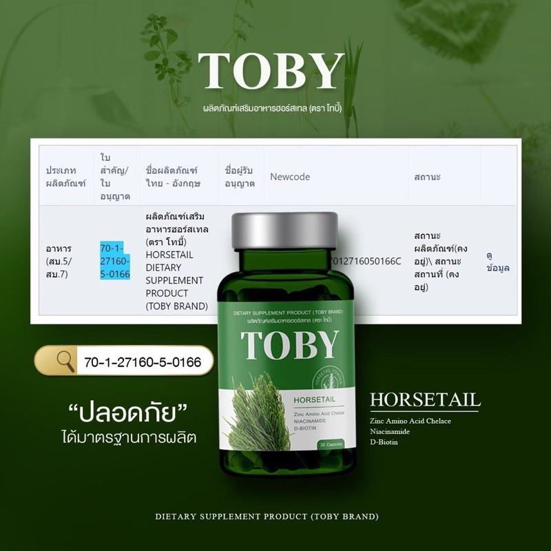 toby-horsetail-โทบี้-ฮอร์สเทล-วิตามินบำรุงผม-วิตามินบำรุง-เส้นผม-อาหารเสริมบำรุงผม-วิตามินแก้ผม-ร่วง-ผมบาง