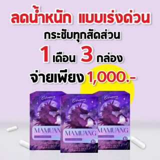 ม้าม่วง 3 กล่องแถมชาม้า3ซอง‼️Lot 14เพิ่มคุมหิ้วx2