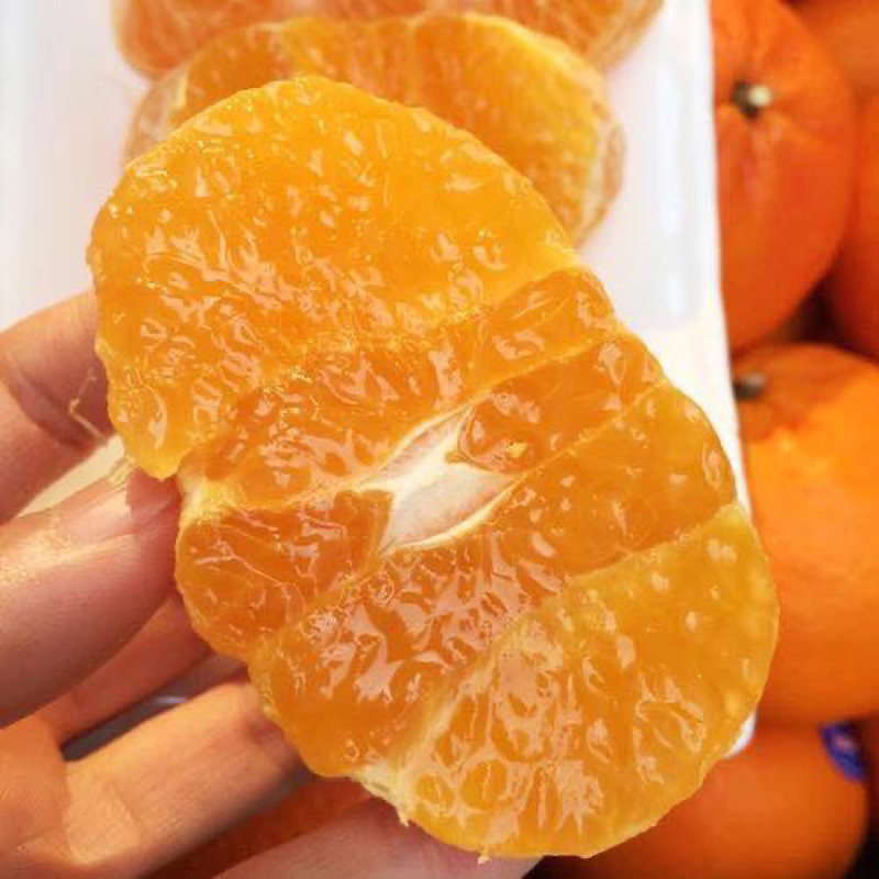 ส้มแมนดารินใต้หวัน-1kg