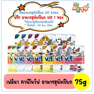 ภาพหน้าปกสินค้า[ซื้อ6ฟรีเพาช์หมา1ซอง] Felina Canino Vif เฟลินา คานิโน วิฟ อาหารสุนัขเปียก แบบซอง 75g ที่เกี่ยวข้อง