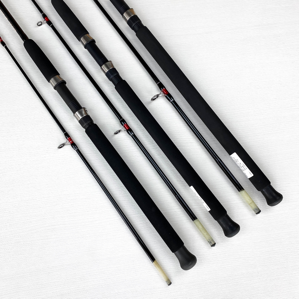 คันหน้าดิน-ashino-cario-sport-6-7-8-ฟุต-2-ท่อน-lure-wt-50-100g-คันไฟเบอร์-คันสปินนิ่ง