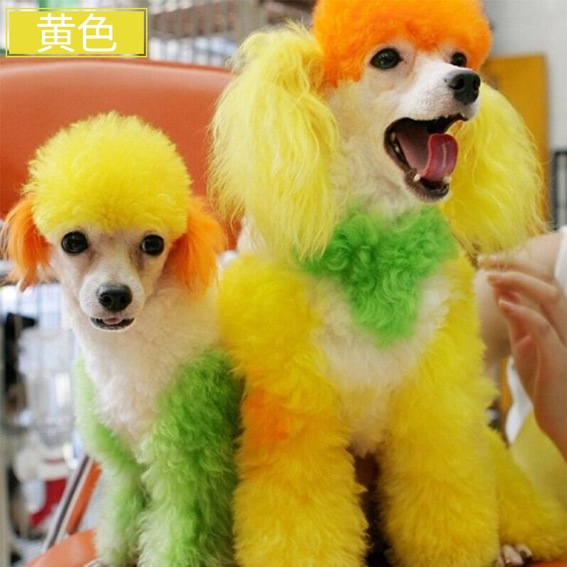 pet-hair-care-น้ำยาย้อมผมสุนัข-ครีมย้อมผมสัตว์เลี้ยง-สีขาว-บิชอง-ตุ๊กตา-สัตว์-ย้อมแมว-ปอมเมอเรเนียน-รอยฉีกขาด-ขนสวย