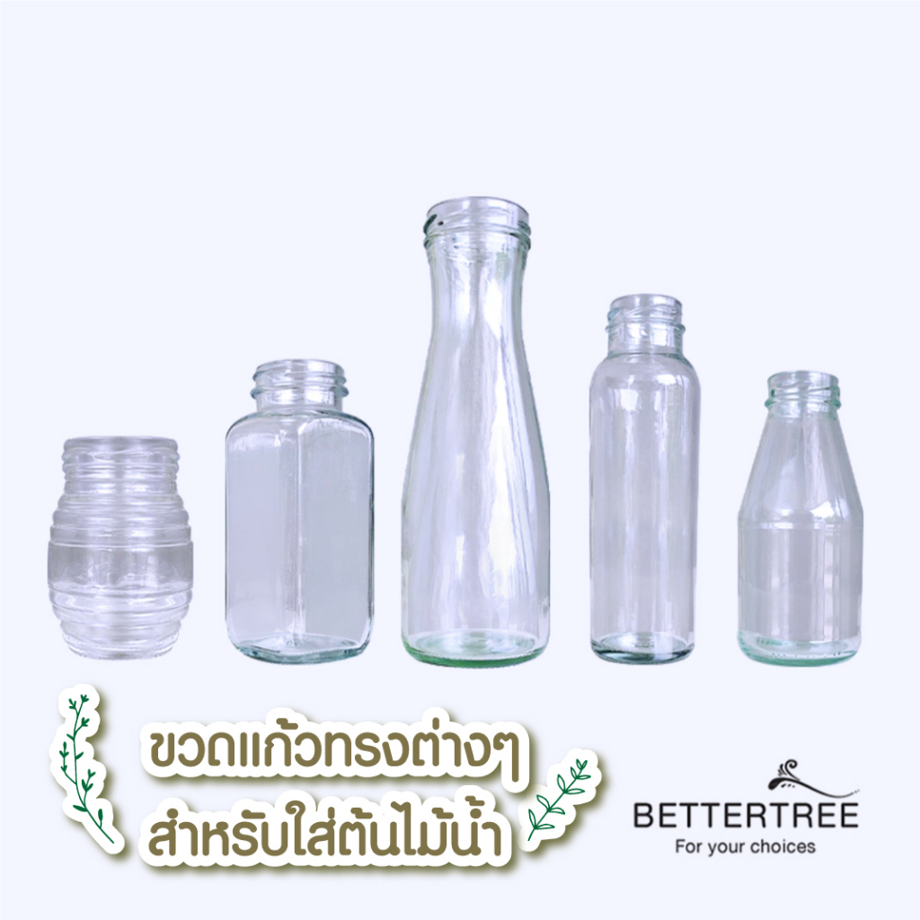 ขวดแก้ว-ใส่ต้นไม้เลี้ยงน้ำ-แจกันมินอมอล-แจกันแก้ว-vase