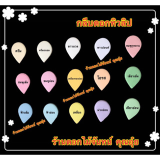 กลีบดอกไม้จันทน์ กลีบทิวลิป สีอ่อน ขนาดดอก 6 ซม. น้ำหนัก 1 กก. กระดาษหนา 80 แกรม ใช้ทำดอกไม้จันทน์กุหลาบ มีสีให้เลือก