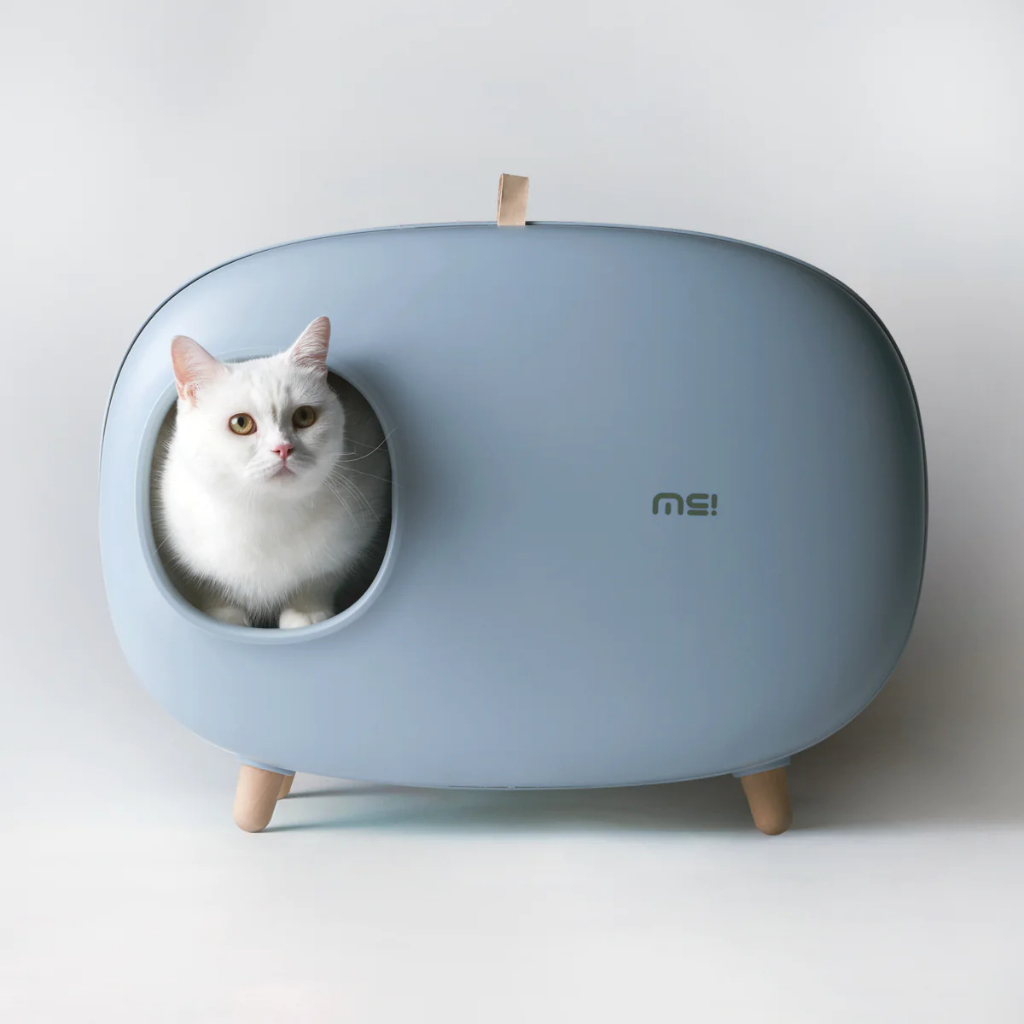 MAKE SURE Cat Litter Box Enclosed Design, Large Space Litter Box with