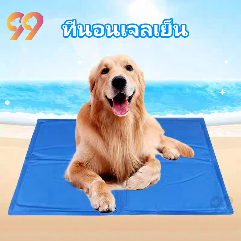 99pet-ที่นอนเจลเย็น-หมา-เจลเย็นแมว-หมา-เจลเย็นสำหรับน้องหมา-เบาะสำหรับหมา-แผ่นเจลรองนอน-แผ่นเย็นสัตว์-แมว