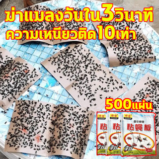 กาวดักแมลงวัน ไล่แมลงวัน 500/300/100แผ่น ติดแมลงวันตัวใหญ่ ใช้งานง่าย กาวแน่น กาวเต็มแผ่น มีสารล่อแมลง