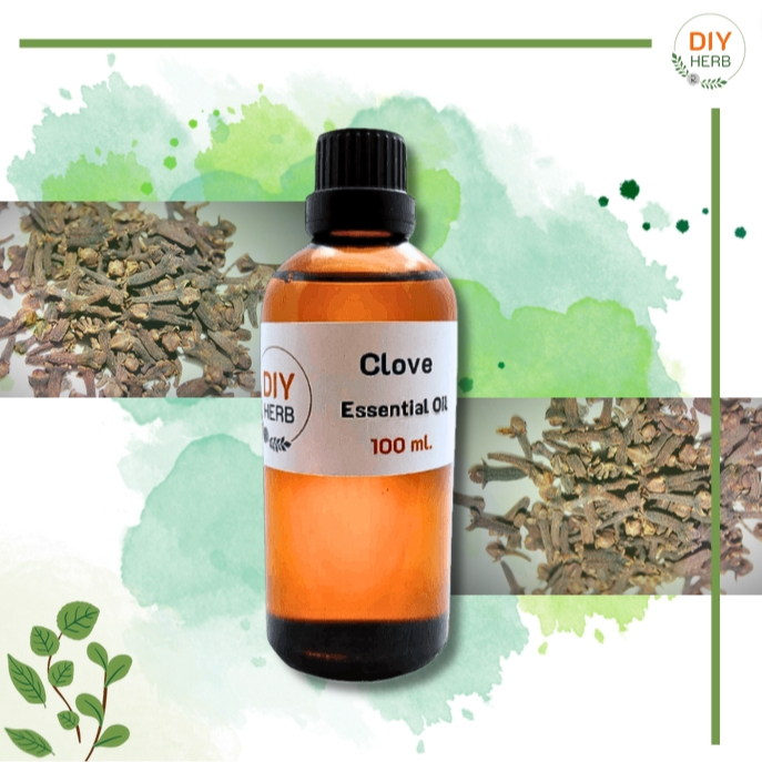 หัวน้ำหอมแท้ กลิ่นกานพลู Clove Essential Oil 100 ml.เกรดพรีเมียม ทำ