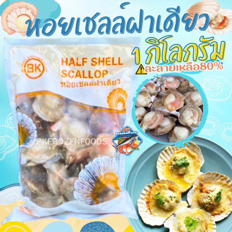 ภาพหน้าปกสินค้าหอยเชลล์ฝาญี่ปุ่นติดไข่1kg. ค่าส่ง139 คละได้ทั้งร้าน ️โฟมฟรี ทุกจังหวัด  ส่งขนส่งแช่เย็น ️