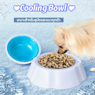 coolingbowlถ้วยน้ำเจลเย็น สำหรับสัตว์เลี้ยง ชามเจล ชามใส่น้ำ เจลเย็น ดับร้อน,ชามอาหารสัตว์เลี้ยงชามสุนัข หมา แมวpet bowl