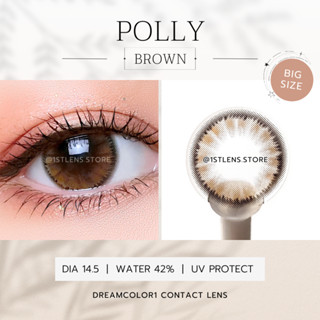 (0.00-3.00) คอนแทคเลนส์สีน้ำตาล รุ่น ★ POLLY BROWN ★ DreamColor1 Contact Lens | รายเดือน | สายตาสั้น