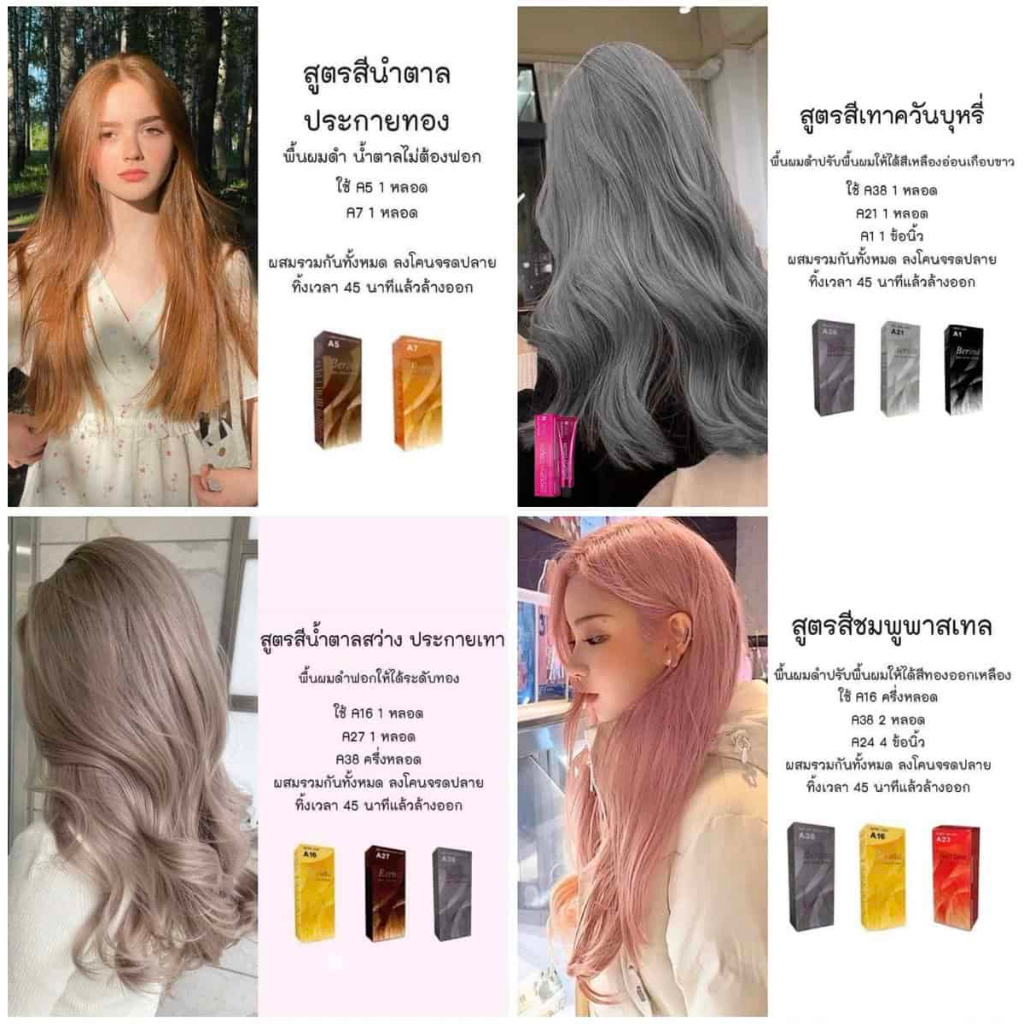 berina-hair-color-สีย้อมผมเบอริน่า