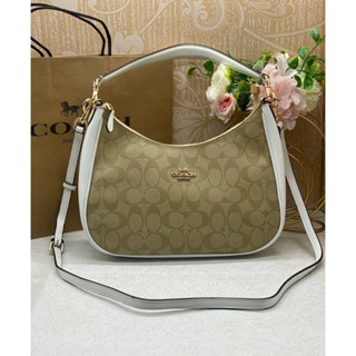 Coach  Teri Hobo In Signature Canvas Ck161