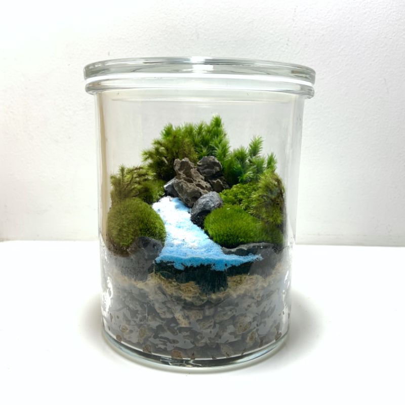 ชุดจัดสวนขวด-สวนขวด-terrarium-ขวดแก้วกลมใหญ่ไซค์-l