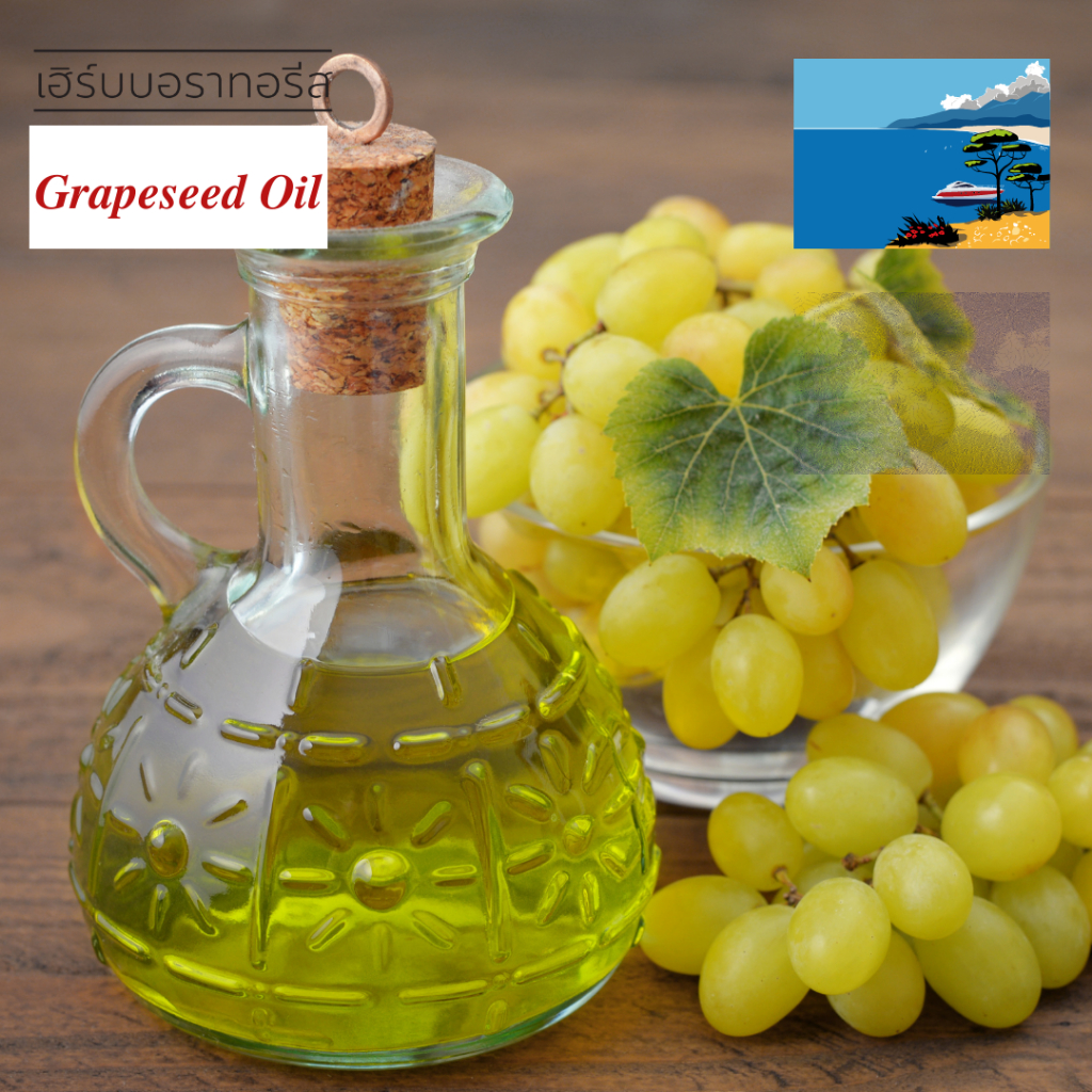 น้ำมันเมล็ดองุ่นสกัดบริสุทธิ์-100-จากเมดิเตอร์เรเนียน-mediterranean-grape-seed-oi-refined-grapeseed-น้ำมันเมล็ดองุ่น