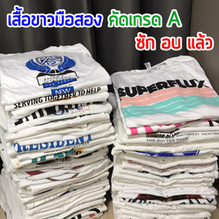 เสื้อยืดขาวคัดเกรด A ซักอบให้แล้ว เลือกไซส์ได้