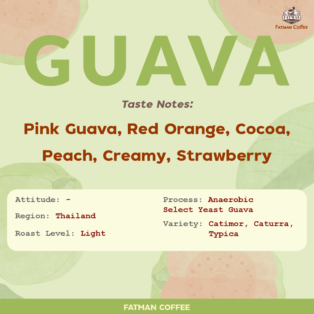 ราคาส่ง-1-3-kg-เมล็ดกาแฟ-น่าน-pink-guava-thailand