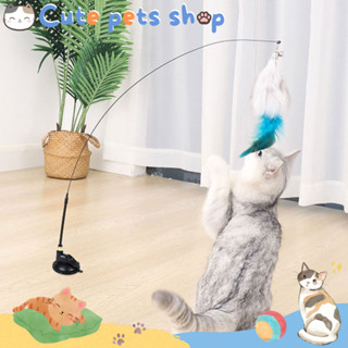 ไม้ตกแมว ไม้ล่อแมว ไม้ตกแมวขนนก ของเล่นแมว cat toy ของเล่นไม้แมว ของเล่นสัตว์เลี้ยง ไม้ตกแมวสปริง ไม้แมว cat teaser wand