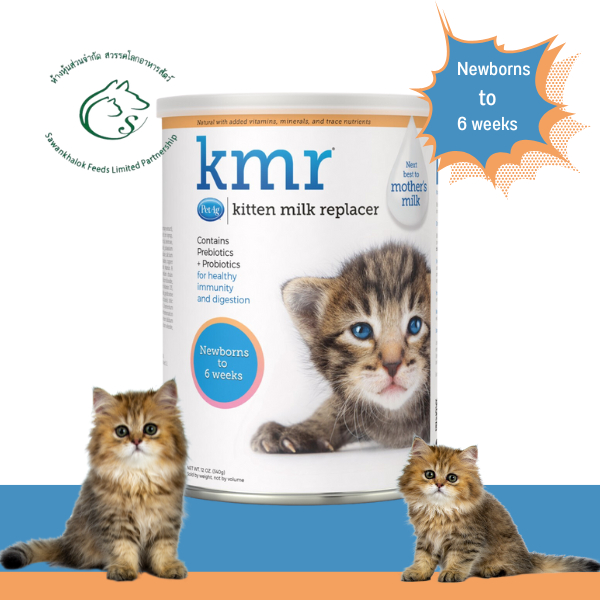 KMR Kitten milk replacer นมทดแทนแบบผงสำหรับลูกแมว Exp.11/2024 Shopee