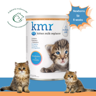 KMR Kitten milk replacer นมทดแทนแบบผงสำหรับลูกแมว Exp.11/2024
