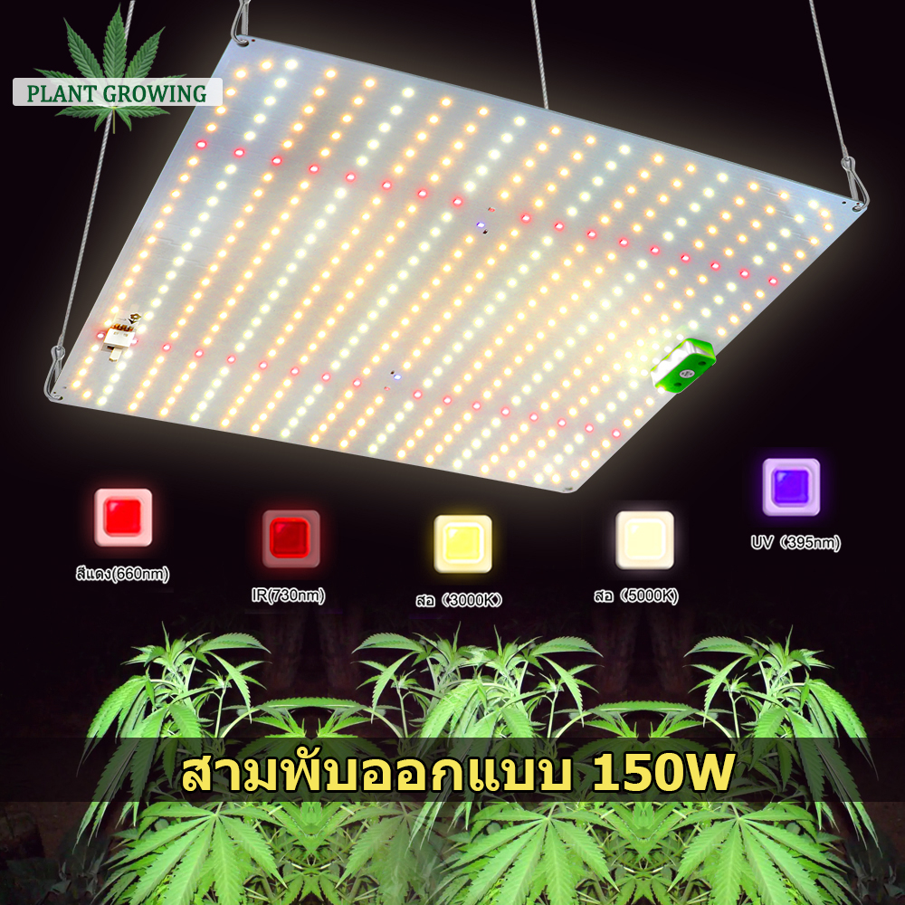 1500w-220v-led-ไฟปลูกผัก-samsunglm281bไฟปลูก-ไฟปลูกต้นไม้-full-spectrum-สำหรับการเพาะปลูกผักและดอกไม้อวบน้ำ