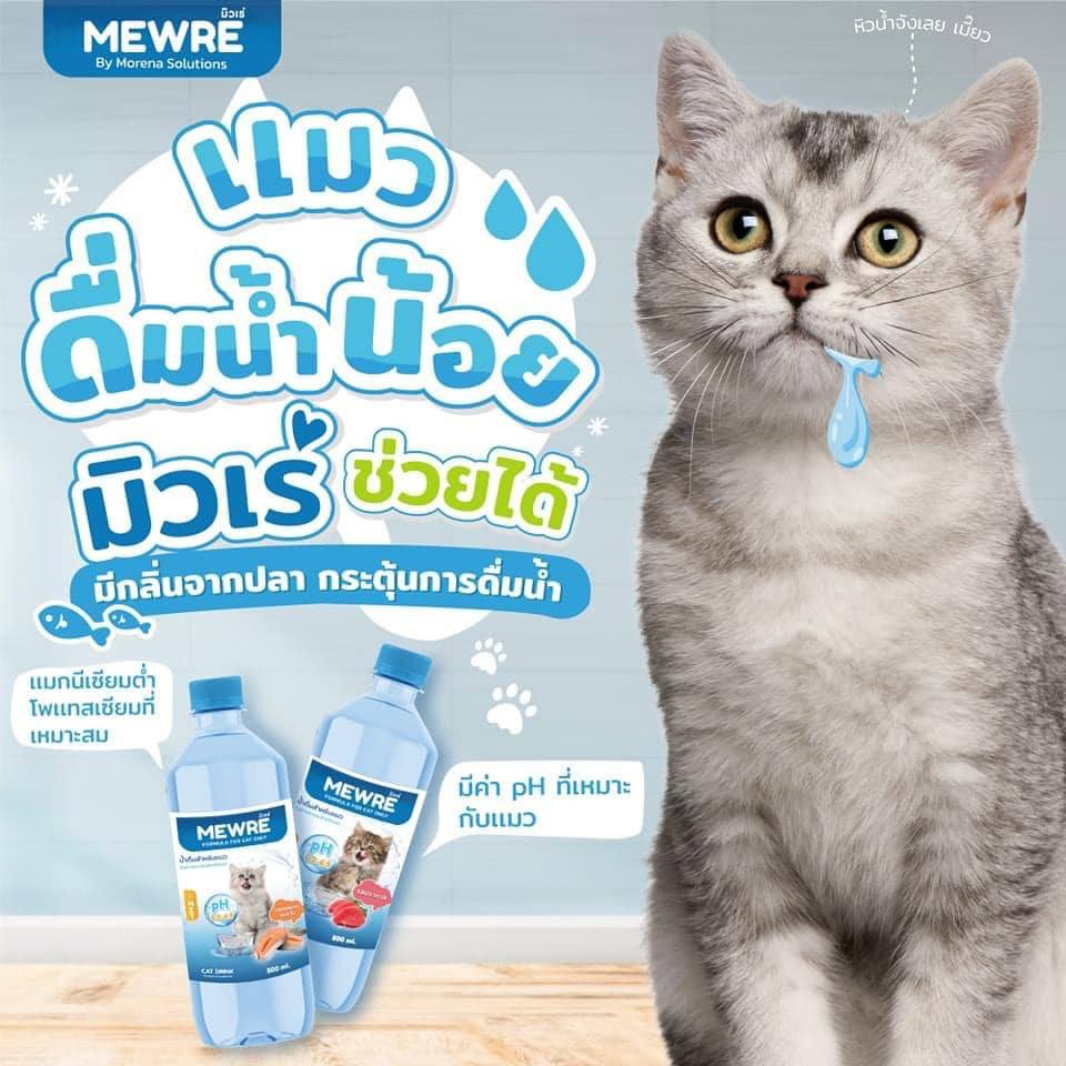 mewre-มิวเร่-น้ำดื่มสำหรับแมว-แก้ปัญหาแมวดื่มน้ำน้อย-บรรจุ-1000ml-2-กลิ่น-แซลมอนรมควัน-ปลาทะเล
