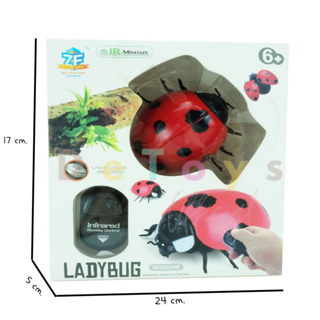 หุ่นยนต์แมลงเต่าทองบังคับวิทยุ LadyBug R/C กางปีก/ถอดปีกได้ ของเล่นบังคับวิทยุ  รถบังคับเต่าทอง