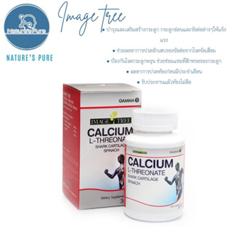 Image Tree GAMMA1 Calcium L- Threonate  แคลเซียม แอล-ทรีโอเนต 800 มก. กระดูกอ่อนปลาฉลาม 300 มก. ผักโขม 100 มก.