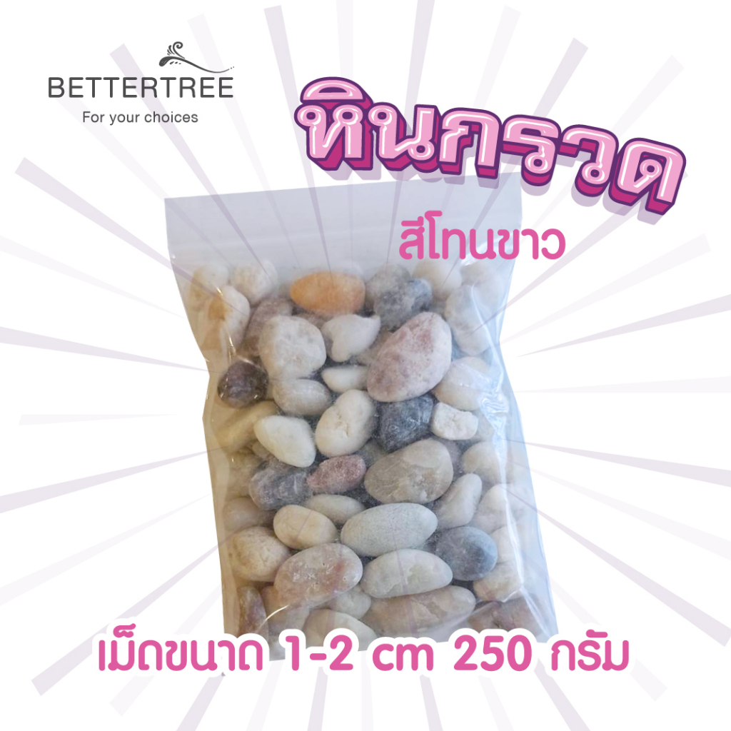 หินกรวดสีโทนขาว-250-g-หินประดับตกแต่ง-หินใส่กระถางเล็กๆ-หินแม่น้ำ-หินใส่แจกัน-หินตกแต่งสวนถาด-หิน-หินสี-ต้นไม้