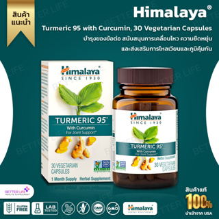 Himalaya, Turmeric 95 with Curcumin, 30 Vegetarian Capsules (No.606)