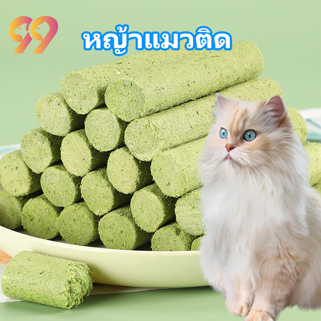 99pet-อาหารแมว-หญ้าแมว-ขนมแมว-ฟรีซดราย-ไม่ต้องปลูก-ดีต่อสุขภาพ-บำรุงขน-หญ้าแมวติด-เพื่อสุขภาพช่องปาก