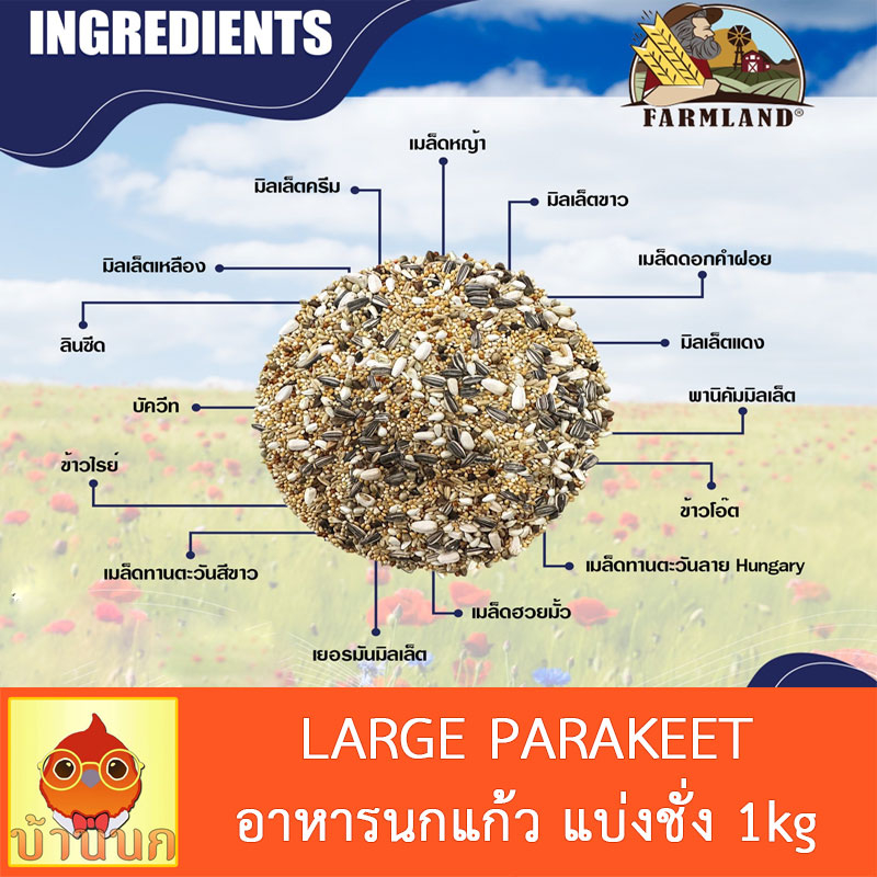 อาหารนกแก้ว-farmland-large-parakeet-1kg-แบ่งชั่ง-อาหารนก-15อย่าง-นกแก้ว-ฟาร์มแลนด์-เลิฟเบิร์ด-คอกคาเทล-คอนัว-กรีนชีค