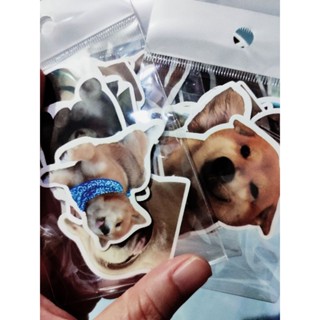 สติ๊กเกอร์การ์ตูน น่ารัก 10 ชิ้น #dog พร้อมส่ง✨🥳🥳🥳