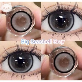 คอนแทคเลนส์ รุ่น Big Seeshell สีเทา/ตาล  Gray/Brown มีค่าสายตา (0.00)-(-10.00) เปลี่ยนแทนทุกเดือน