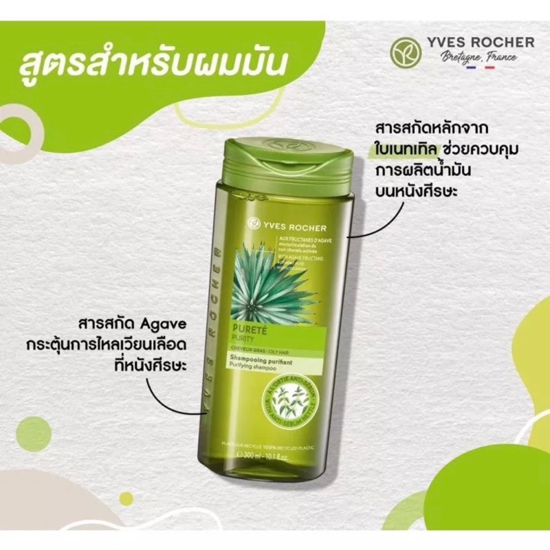Yves Rocher Purity Purifying Shampoo for Oily Hair 300ml. Shopee Thailand