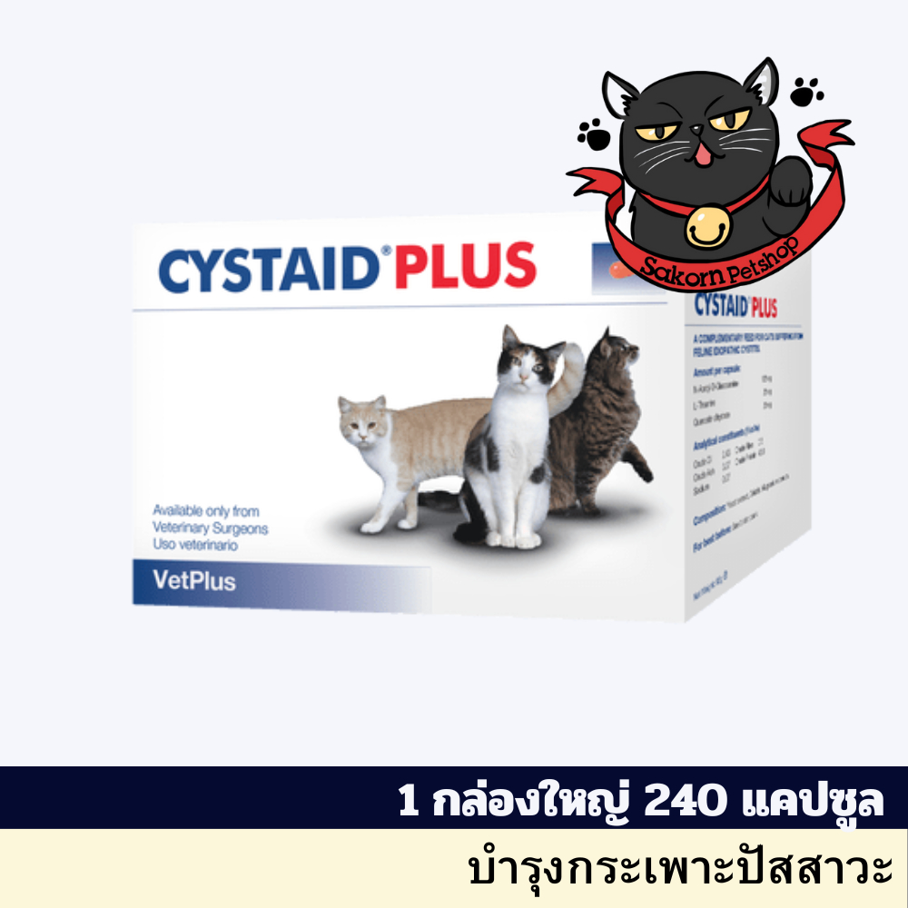 CYSTAID PLUS อาหารเสริมบำรุงทางเดินปัสสาวะ 1 กล่องใหญ่ 240 แคปซูล (EXP ...