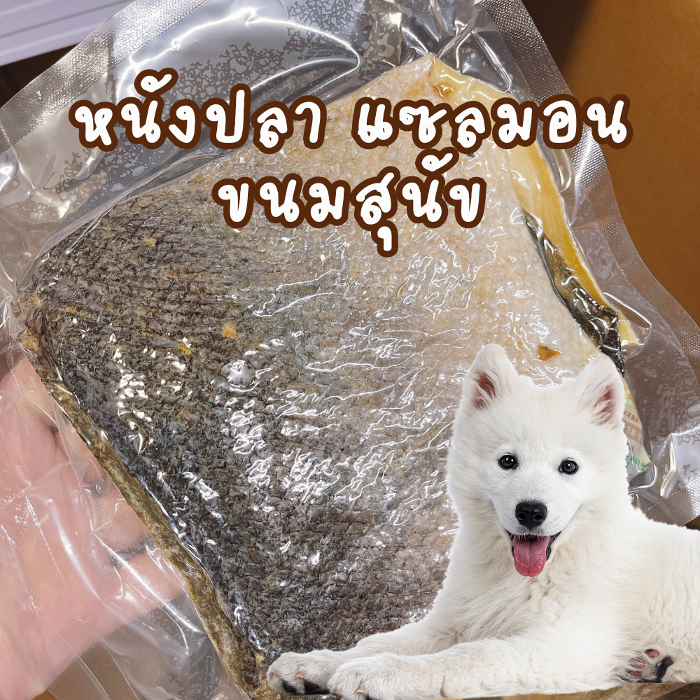 ขนมหมาขัดฟัน ขนมหมา ขนมหมาแทะ ขนมสุนัข หนังปลาแซลมอน หนังปลา แซลมอน ธรรมชาติ ขัดฟัน pet treat salmon skin