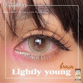 เลนส์แฟชั่น Lightly yong สีน้ำตาลและสีเทา ขนาดกลาง 14.5