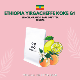 เมล็ดกาแฟ Ethiopia Yirgacheffe Koke G1