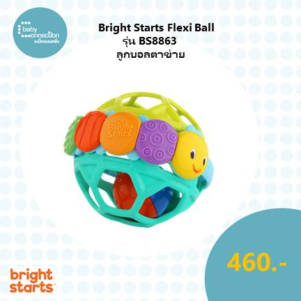 bright-starts-flexi-ball-ลูกบอลตาข่ายตัวหนอน-รุ่นbs8863