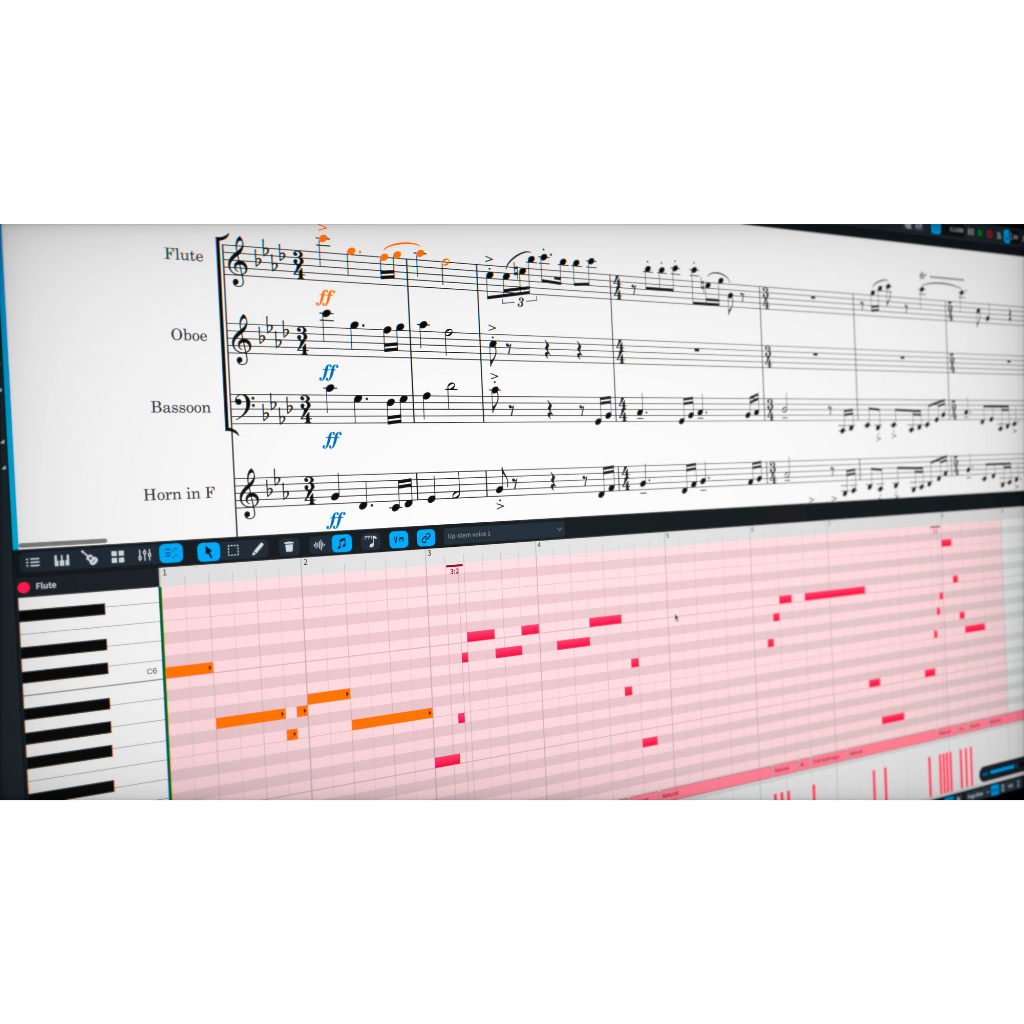 dorico-professional-5-windows-mac-โปรแกรมทำ-notation