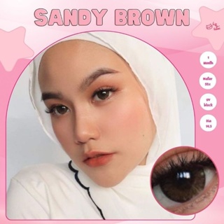 คอนแทคเลนส์ รุ่น Sandy By Kitty kawaii สีเทา/ตาล Gray/Brown มีค่าสายตา (0.00)-(-5.00) เปลี่ยนแทนทุกเดือน